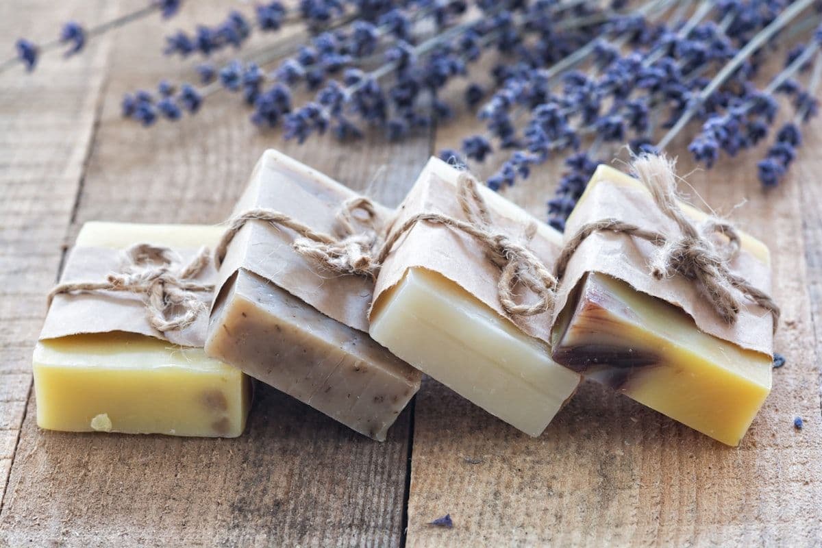 Atlas Cedar Soap